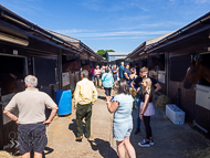 PN070822-164 - Paul Nicholls Stable Visit